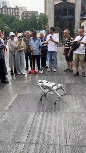Robot dog draws curious crowd in Chongqing public square