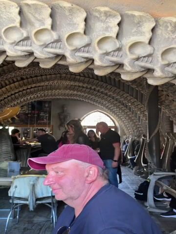 The video showcases the interior of a unique establishment, likely a bar or restaurant, in Epagny, Switzerland, known for its surreal and macabre decor. The ceiling is adorned with large, skeletal-like structures resembling vertebrae and skulls, creating an arched tunnel effect. A prominent feature is a wall covered in numerous sculptures of infant heads, some appearing distressed or crying, with small bumps or beads around their necks.

Several people are visible within the space. In the foreground of the initial frames, a man wearing a red baseball cap is seen from the side. Other patrons are scattered throughout the background, casually seated at tables or standing, engaged in conversations or looking at menus. The lighting suggests it is daytime, with natural light entering through arched doorways in the background. No visible text is present in the video.
