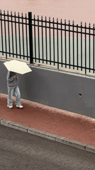 Early morning rain brings umbrellas to Zhongtun streets