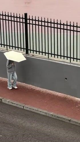 Early morning rain brings umbrellas to Zhongtun streets