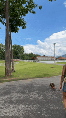 Woman walks, plays with dachshund in Chiang Mai park