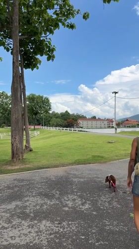Woman walks, plays with dachshund in Chiang Mai park