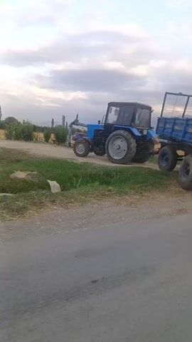 The video captures a rural scene in Chimyon, Uzbekistan, during what appears to be late afternoon or early evening, given the soft, diffused light and the presence of clouds in the sky. The setting is an open area with agricultural land, featuring fields of dry grass or straw, and vegetation along the roadside. A prominent feature is a large, dark pipe running horizontally across the landscape, possibly part of an irrigation system or some other agricultural infrastructure.

The primary action revolves around a blue tractor, towing a blue trailer. The tractor is seen from its side and rear, with its large rear wheels and a smaller set of front wheels visible. The trailer is also blue and appears to be a flatbed with high sides, possibly designed for carrying crops or other materials. The trailer has two sets of wheels. The tractor and trailer are on a dirt track, adjacent to a paved road.

As the video progresses, a white car, possibly a Chevrolet Aveo based on its frontal design, drives into view from the right side of the frame and passes by. This suggests movement and activity within the otherwise tranquil setting. In the background, there are distant trees, hills, and mountains, providing a sense of the broader geographical context. The sky is partly cloudy, with a mix of light and darker clouds, suggesting typical weather patterns for the region. There is no visible text in the video. The overall impression is one of agricultural work or transport in a rural Uzbek landscape.