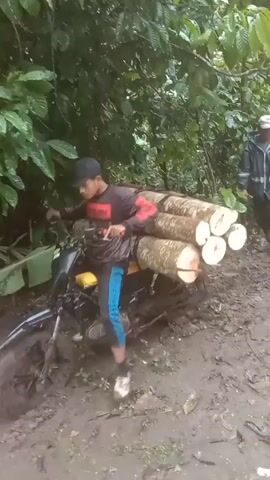A young man is struggling to drive a small motorcycle with a heavy load of logs strapped onto the back through muddy terrain. He is wearing a black baseball cap, a long-sleeved shirt with a red and black design, blue patterned shorts, and sneakers. The motorcycle is dirty and has a yellow gas tank. The logs are arranged in a stack behind him and secured with straps. The ground is muddy and rutted. Lush green foliage surrounds the scene. The video is taken from behind a white decorative pillar, slightly obscuring the view. In the background, a simple house and some scattered debris can be seen.