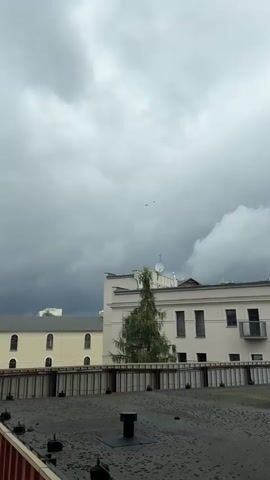 The video shows a gray, overcast sky with dark clouds forming on the left side. Two birds fly across the sky. In the middle ground, there are two buildings. The building on the right is a light-colored, multi-story structure with several windows and a balcony. A tall, green tree stands in front of this building. The building on the left is yellow and appears to have arched windows. A covered walkway or bridge-like structure extends between the buildings. In the foreground, there is a dark, flat surface that appears to be a rooftop, with some scattered debris and a black vent or pipe. The overall environment suggests an urban or industrial setting.
