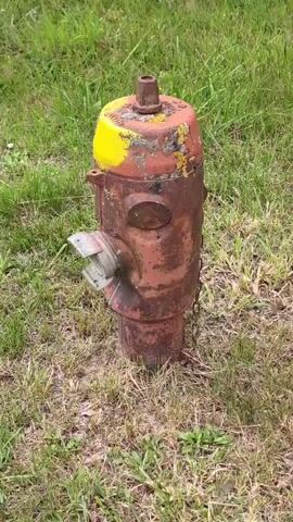 The video shows a rusty fire hydrant with a yellow cap in a grassy area. The hydrant is red with patches of rust and lichen. It has a chain attached to it. The grass around the hydrant is dry in some areas and green in others. The video is shot from a high angle, looking down at the hydrant.