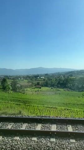 The video shows a view from a train window. In the foreground, there are train tracks. Beyond the tracks, there are lush green rice paddies. In the middle ground, there are some houses and trees. In the background, there are mountains under a clear blue sky. The camera is moving, indicating that the train is in motion. The sun is shining brightly, suggesting it is daytime. There are no people visible in the video.