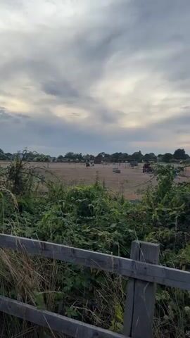 A video captures a pastoral scene on a dry, dusty field under a cloudy sky. In the foreground, lush green foliage and a wooden fence frame the view. In the middle ground, two horses, one predominantly black and white, the other white with black patches, interact. They appear to be nuzzling or touching heads. Several other horses and what might be a horse-drawn cart are visible in the background, along with fencing, structures, and a distant house with trees. A red ball rests on the ground between the two foreground horses. The overall impression is one of a rural setting and animal activity.