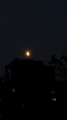 Nighttime scenes captured in Khimki suburb under crescent moon