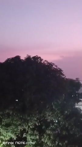 The video shows an evening sky with a mix of pink and purple hues. A silhouette of a tree is visible in the foreground, partially obscuring a view of buildings and streets with lights in the distance. Power lines and poles cross the frame. The video is slightly blurry. The text "Infinix NOTE 40 Pro" is displayed in the lower left corner.