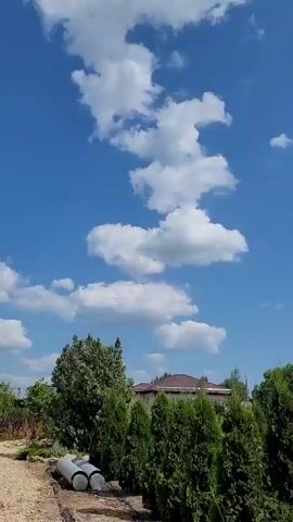A vertical video shows a blue sky with scattered white cumulus clouds. In the foreground, there are green coniferous trees and some deciduous trees. A house with a brown roof is visible in the background behind the trees. In the lower left corner, there are two large grey pipes lying on the ground. The top of the frame has some green leaves from a tree that is out of view. The video pans slowly upward towards the sky.