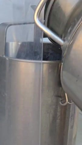 The video shows a person pouring a white liquid, presumably milk, from a silver metal container into a larger, similar container. The smaller container has a metal handle that the person is holding. The larger container has a transparent plastic shield on one side and a metal latch on the other. The scene is brightly lit and appears to be outdoors.