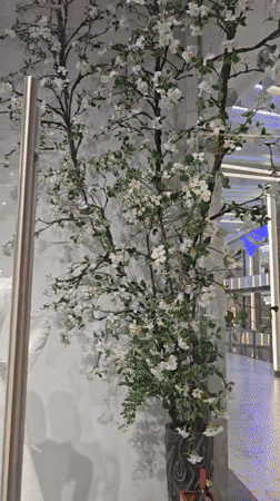 Ordinary shopping mall activity documented in Grozny, Russia