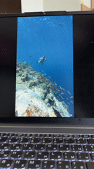 Laptop displays snorkeling video in Pleven, Bulgaria