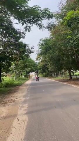 A person on a motorcycle is doing a wheelie on a paved road surrounded by trees. The person is standing on the motorcycle with their arms outstretched. The motorcycle is moving forward and is balanced on its back wheel. The sky is overcast.
