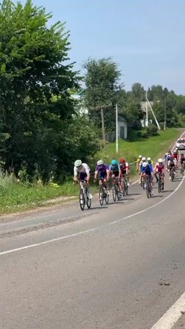 A group of cyclists ride in a race on a paved road. The cyclists are wearing helmets and racing attire. The road is lined with grass and trees. There are houses in the background. A white van with red and white markings drives on the road.