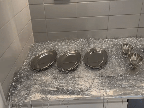 London residents document silver-themed family gathering