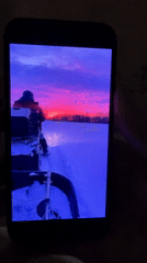 Domestic life documented in Tobolsk: cat, family, nighttime cityscape