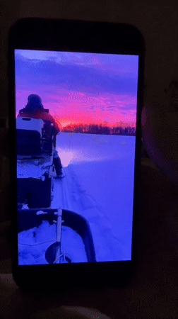 Domestic life documented in Tobolsk: cat, family, nighttime cityscape