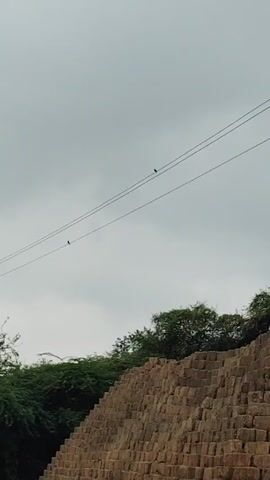 Here is a concise description of the video:

The video shows a cloudy sky with two birds perched on a power line. Below, there is a large brick structure, possibly a wall or a pile of bricks, in the foreground. The rest of the ground is covered in lush, green vegetation. The camera appears to be handheld, and there are brief moments when the shot is obscured by some sort of loose wiring or cable in the frame.