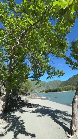 The video shows a wide, sandy beach next to a wide, teal-colored river. The beach is partially shaded by leafy green trees. In the distance are green, tree-covered mountains under a clear blue sky. The camera is stationary.