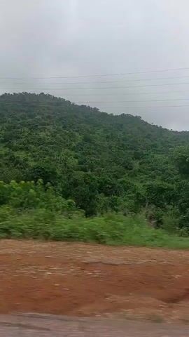 This video captures a drive through a lush, green landscape in Assob Hausa, Nigeria. The scene is dominated by rolling hills covered in dense vegetation, with trees and grassy patches creating a rich tapestry of green. The sky is overcast, suggesting a cloudy or potentially rainy day. 

The foreground shows a dirt road, indicative of the path the camera is moving along. There are some scattered rocks and debris on the roadside. In the distance, several tall, lattice-like electricity pylons stand against the skyline, hinting at the presence of infrastructure amidst the natural environment. The overall mood is serene and natural, with the vibrant greenery dominating the visual. No people are visible in the footage. The time of day appears to be daytime, given the ambient light, but the overcast sky makes it difficult to pinpoint the exact hour.