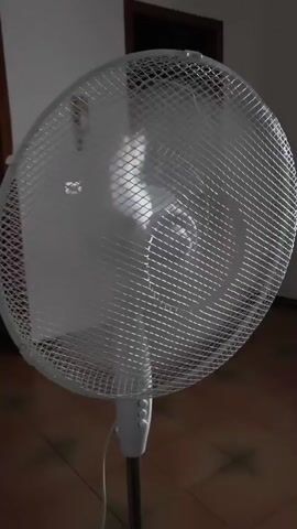 This media file shows a close-up, medium shot of a white oscillating fan. The fan is positioned in the center of the frame, and its blades are clearly visible through the protective mesh grill. The fan is turned on, and its blades are spinning, creating a slight blur effect. The fan is mounted on a pole with controls at the base. The background is somewhat out of focus, but appears to be an indoor setting with a tiled floor and a doorway visible. The lighting suggests it is daytime, though the exact time of day is not discernible. There is no visible text in the media file. The scene is static and focuses solely on the operation of the fan.