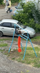 Upside-down stunt on a swing set in an Izhevsk courtyard