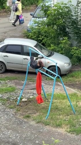 Upside-down stunt on a swing set in an Izhevsk courtyard