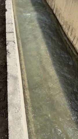 The video shows a narrow, concrete irrigation ditch with murky, flowing water. The ditch is lined on both sides with concrete walls. The ground on the left side is dirt and debris. On the right side, the concrete wall has some graffiti. The water is moving at a moderate pace and appears to contain some sediment and possibly small pieces of debris. There are no people visible in the video. The lighting suggests it is daytime.