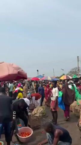 The video shows a crowded outdoor market, likely in a tropical or subtropical area. There are many people of various ages and genders, mostly Black, milling around and engaged in buying and selling. The main commodity appears to be tomatoes, as many individuals are handling buckets and baskets filled with them. People are lifting, carrying, and sorting the tomatoes.  Overhead, there are multiple colorful umbrellas or canopies offering shade.  The ground appears uneven and possibly dirty. Some buildings are visible in the background. The sky is overcast.  The overall impression is a bustling and active marketplace.