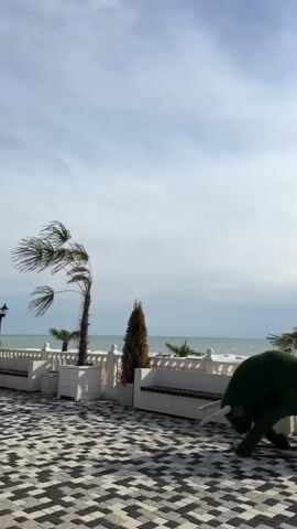 A bright, cloudy day at what appears to be a beachfront promenade. In the foreground, a patterned mosaic pavement is visible, with a large, dark green, bull-shaped topiary sculpture positioned to the right. The bull is depicted in a lowered, aggressive stance, with white horns and a curved tail. Behind the bull, a white, ornate railing runs along the edge of the promenade. Beyond the railing, a few palm trees are scattered, one of which is bent by the wind. A thin cypress tree stands to the left of the bull, next to a white planter. A wooden bench is situated behind the cypress tree. Further back, the sea stretches to the horizon under a pale, cloudy sky. A few indistinct figures can be seen on the beach in the distance. The scene is captured in a vertical, portrait orientation.