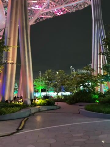 The video captures a nighttime view of an outdoor area with several large, tree-like sculptures. These sculptures are illuminated with colorful lights that change and shift, casting a vibrant glow on the surroundings. The sculptures have intricate, geometric canopies that resemble a metallic latticework. In the foreground, there are glimpses of lush green foliage and pathway lighting. The overall atmosphere is modern and visually striking, with the artificial lighting creating a dramatic effect against the dark night sky.