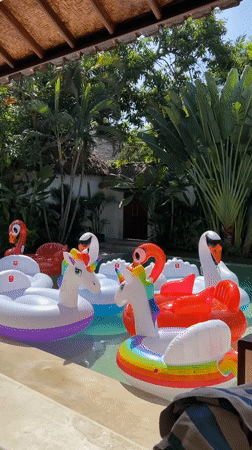 Inflatable pool floats spotted in Kuta swimming pool