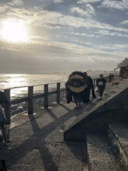 Morning beach life and casual moments documented in Bali