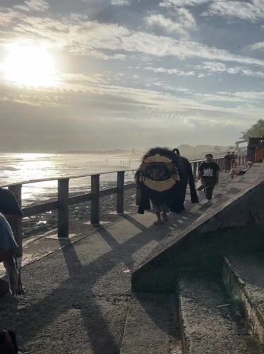 Morning beach life and casual moments documented in Bali