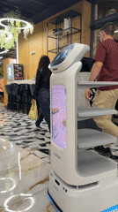 Robot-served meal documented at Bulgarian restaurant over two hours
