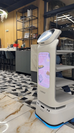 Robot-served meal documented at Bulgarian restaurant over two hours