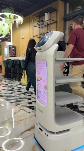 Robot-served meal documented at Bulgarian restaurant over two hours