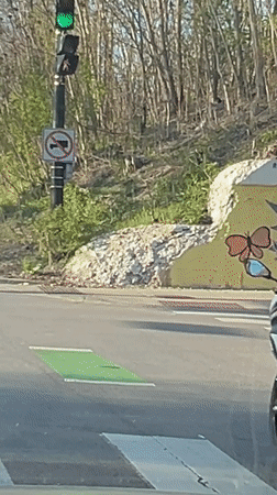 Motorcyclist departs Chicago intersection after light turns green