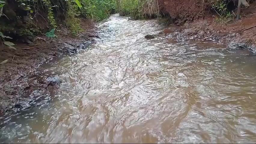 A low-angle shot shows a small, narrow stream flowing through a muddy channel. The water is a murky brown color, and the stream is surrounded by grassy banks and some low-lying vegetation. The camera is positioned slightly above the water level and faces upstream. The stream appears to be flowing at a moderate pace. The surrounding environment includes dirt, green plants, and some trees in the background. The scene is still, with only the movement of the water being evident.