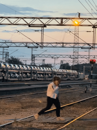 Car transport train observed stationary in Ruma Municipality