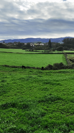 Rural springtime scenes captured in Ribeira Grande, Portugal