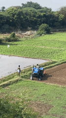 Early morning tractor tills flooded fields in rural India