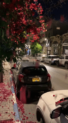 Car parked on Tel-Aviv sidewalk near flowering bougainvillea