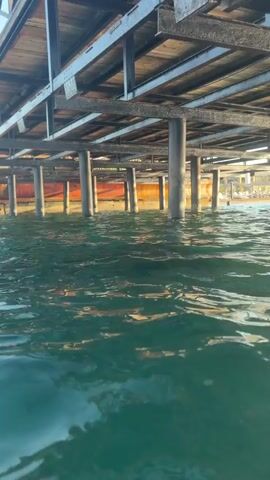 The video begins by showing the underside of a wooden pier or dock. The water is a clear, greenish color, and the surface is disturbed with ripples and small waves. Several wooden support posts of the pier are visible, submerged in the water. Sunlight filters down from above, illuminating the sandy bottom and some scattered rocks. As the camera moves forward and downward, a dense school of small, silvery fish appears. The fish are swimming together in a tight formation, creating a shimmering mass beneath the pier. Some of the fish are seen moving between the support posts. The camera continues to move through the water, offering views of the pier's structure from below and the schooling fish. Towards the end, the camera pans slightly, showing more of the pier supports and the sandy seabed.