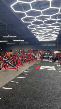 Evening activity captured at ZOO CULTURE gym in Los Angeles