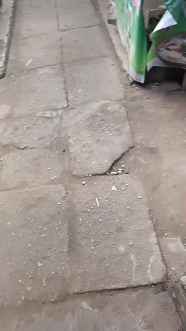The video shows a low-angle shot of a street with a sidewalk on the left and a market stall on the right. The street surface is uneven and appears to be made of concrete or asphalt. There is some debris scattered on the ground. The market stall has a green tarp or banner with text and images on it. There are white plastic crates filled with what appear to be dried goods, possibly food items, stacked near the stall. The camera is moving slowly, giving a sense of walking through the scene. The overall environment appears to be an outdoor market or a street market area.