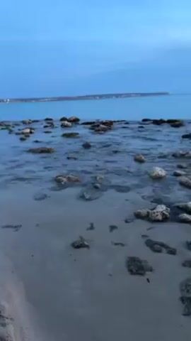 The video shows a calm, rocky shoreline under a blue sky with a distant landmass visible on the horizon. Small waves gently wash over the rocks, which are scattered across the sand and partially submerged in the clear water. The scene is peaceful and serene, possibly at dusk or dawn due to the soft, even lighting.