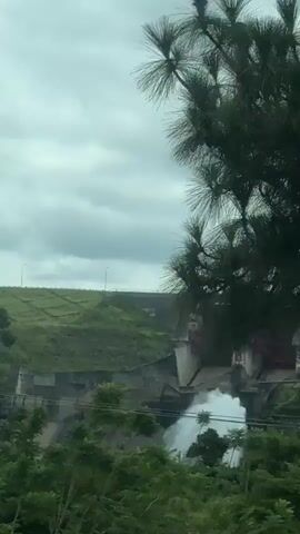 The video shows a view through green foliage of a large concrete dam with some red structures on top. The foliage is moving, suggesting it's either windy or the camera is in motion. The sky appears overcast.